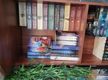 Long-Established Book Exchange Business for Sale – Prime Caringbah, NSW Location – Flexible Online or Retail Model –  Turnover of $25k - Huge Book Collection – Loyal Customer Base – Complete Training – Growth Prospects - Asking Price:  $80 000