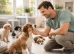 Online Pet Product Wholesaler/Distributor and Supplier #438