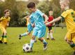 Niche Market Sports Product, Apparel and Equipment Outlet and National Online Webstore #411