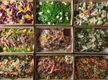 Established Sydney Catering Business
