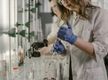 Cosmetic Formulation And Manufacturing