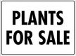 Wholesale Plants –  45years One Owner