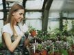 Wholesale Plants –  45years One Owner