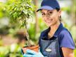 Wholesale Plants –  45years One Owner