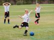 Niche Market Sports Product, Apparel and Equipment Outlet and National Online Webstore #411