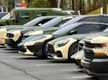 High Gross Profit and Ultra-Lucrative Vehicle Wrap and Sign Product Business #445