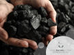 Thermal Coal Resource - New Zealand