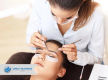 Beauty, Lash and Brow business - Newcastle Region