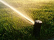 Landscape Gardening Business For Sale PRICED TO SELL