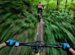SOLD - Noosa biking business
