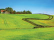 Agricultural Fencing Supplies - Greater Melbourne