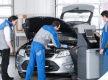 For Sale Independent Equiped Spacious Workshop Campsie Sydney