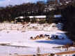 Motel for Sale - Cooba Motel, Cootralantra NSW