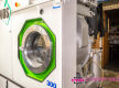 Profitable Dry Cleaning Business