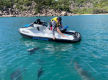 Jet Ski Tour Business in Townsville