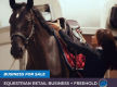 The equestrian dream - a longstanding saddlery retail business