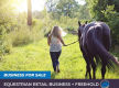The equestrian dream - a longstanding saddlery retail business