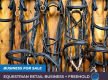 The equestrian dream - a longstanding saddlery retail business