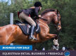 The equestrian dream - a longstanding saddlery retail business
