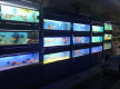 Established Pet Shop