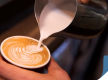 Cafe For Sale Sydney Ryde Rent 700 Per Week Walk in Walk Out Sale