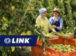 Prominent Cider Brand with National Distribution.