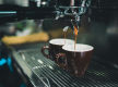 Licensed Cafe & Event Space | $1.57M FY26 Revenue