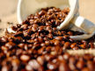 A Very Busy Franchise Coffee Club For Sale in Armadale