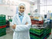 -- ON HOLD --South Asian community specializes Food Manufacturing Business For Sale.