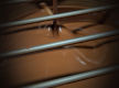 Luxury Chocolate Brand for Sale – Profitable, Staff-Run & Fully Equipped