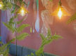 Popular Gourmet Roast Chicken Restaurant and Function Room in Prime Location!
