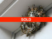 SOLD Carpet Cleaning & Pest Control Business Chermside QLD