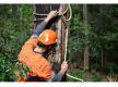 34548 Profitable Arboriculture Business - Growth Potential