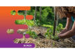 35365 Established Environmental Management Business - Strong Client Base