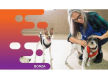 35501 Profitable Dog Minding Business - 30+ Years of Success