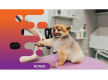 35061 Thriving Dog Grooming Business in Prime Location