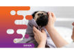 35061 Thriving Dog Grooming Business in Prime Location