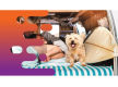 35537 Profitable Campervan & Car Rental Business - Ready for New Ownership