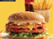 Oporto Franchise for sale in Southern Sydney  NSW305