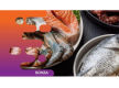 35677 Own a Profitable Lifestyle Business  Mobile Seafood Operation