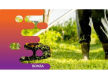 36015 Established & Profitable Lawn & Garden Maintenance Business