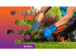 35672 Well-Established Lawn & Garden Maintenance Business - Premium Clients