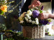 Profitable QLD Funded Floristry RTO. (REF: 1515)