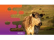 36071 Profitable Livestock Product Brand - National Distribution Network