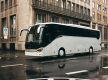 Established Mid North Coast Coach Tour Operator - 1031