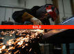 SOLD Established Steel and Aluminium Fabrication