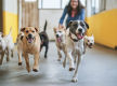 UNDER CONTRACT: Doggy Daycare Business for sale in Eastern Suburb ST1552