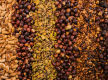 Profitable Wholesale and Retail Food Business – $1M Sales, Easy to Operate, 28 yrs strong