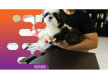 36130 Highly Reputable Pet Grooming Salon in Prime Location