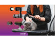 36130 Highly Reputable Pet Grooming Salon in Prime Location